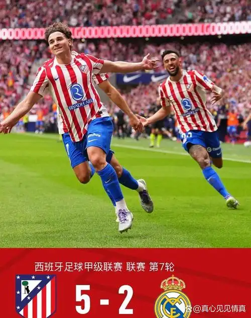 雨燕直播足球免费